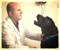 Dr. Joe Wakshlag